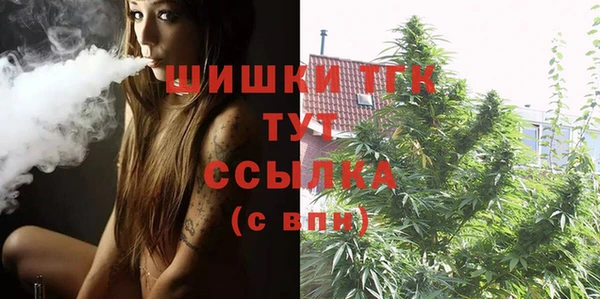 индика Куйбышев