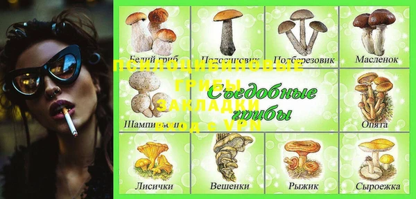 индика Куйбышев