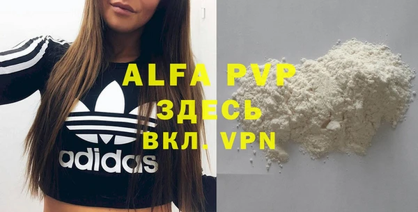 индика Куйбышев