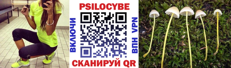 Псилоцибиновые грибы GOLDEN TEACHER  Купить закладки  Пикалёво 